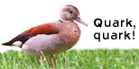quark duck