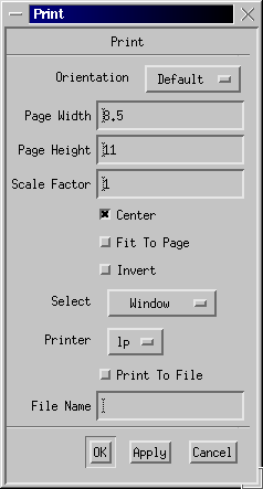 Example Print Dialog Box